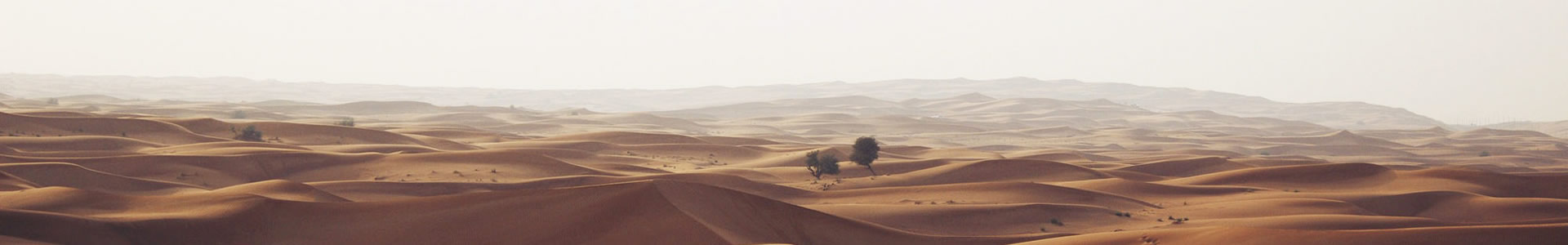 ൺŽѯ޹˾